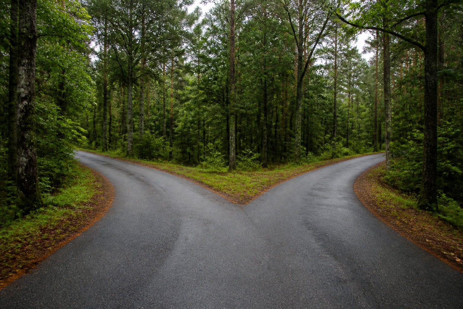 Préserver le référencement naturel et les redirections